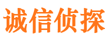 龙胜调查事务所